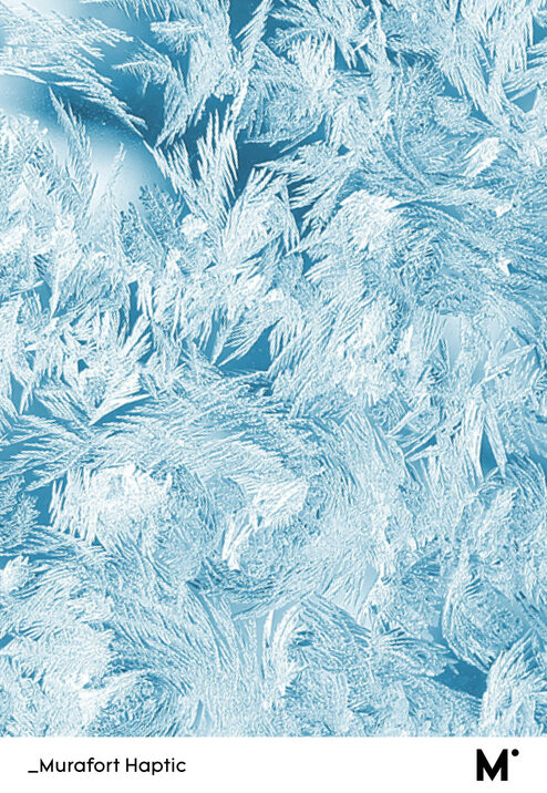 Murafort_haptic